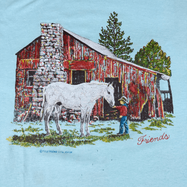 Vintage 80s Friends Boy and Horse T-Shirt MEDIUM 4