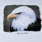 Vintage 90s National Geographic Bald Eagle T-Shirt XL