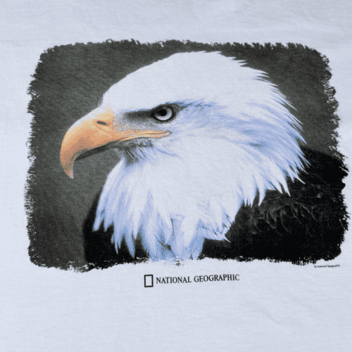 Vintage 90s National Geographic Bald Eagle T-Shirt XL 2