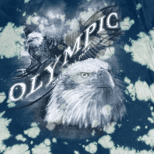 Olympic National Park Eagle Tie Dye Kids T-Shirt YOUTH LARGE