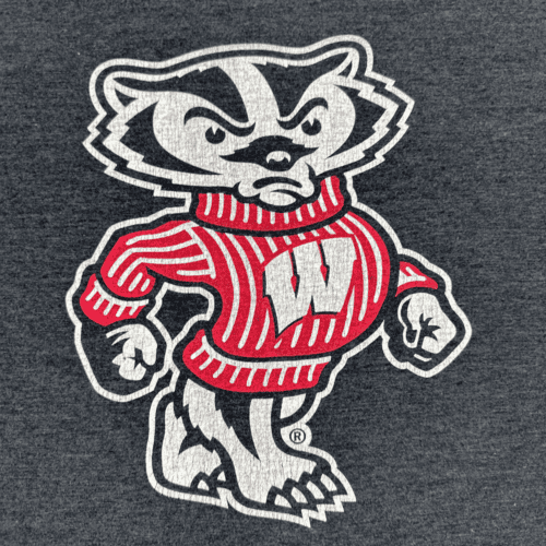 Wisconsin Badgers Shirt Gray Football Adult EXTRA LARGE